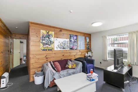 Photo of property in Drummond Street Flats, 26/19 Drummond Street, Mount Cook, Wellington, 6021