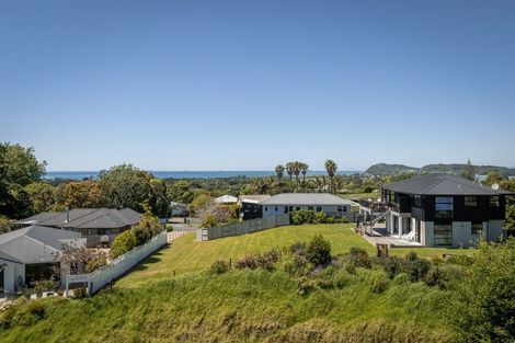 Photo of property in 91 Koutunui Road, Athenree, Waihi Beach, 3177