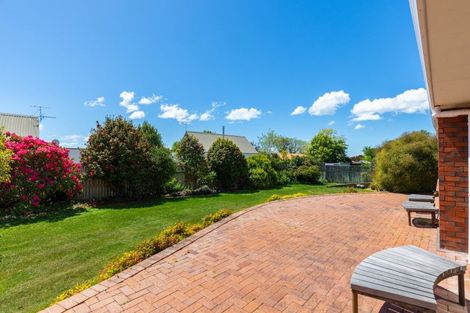 Photo of property in 225 Redwood Street, Witherlea, Blenheim, 7201