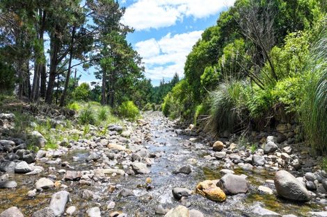 Photo of property in 150 Puriri Valley Road, Puriri, Thames, 3578