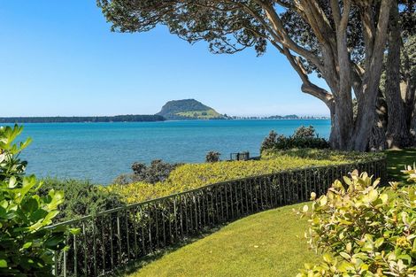 Photo of property in 41 Woods Avenue, Matua, Tauranga, 3110