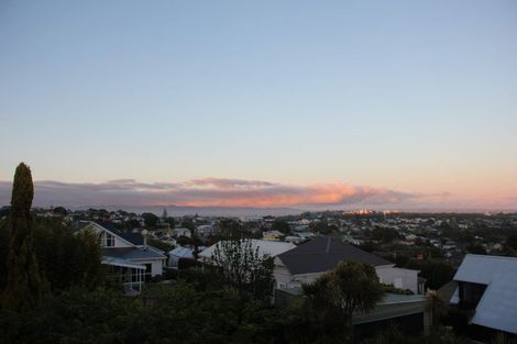 Photo of property in 16 Turakina Street, Grey Lynn, Auckland, 1021