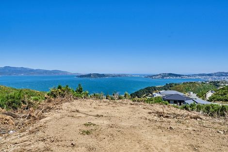 Photo of property in 17 Grumman Lane, Newlands, Wellington, 6037