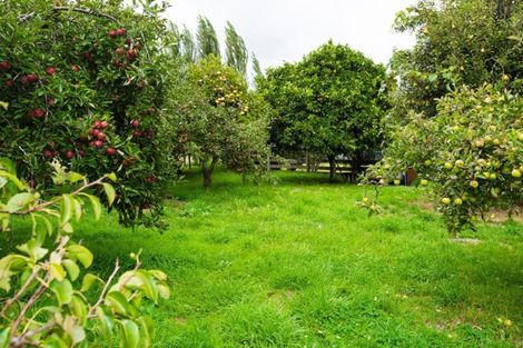 Photo of property in 35 Royd Road West, Makauri, Gisborne, 4071