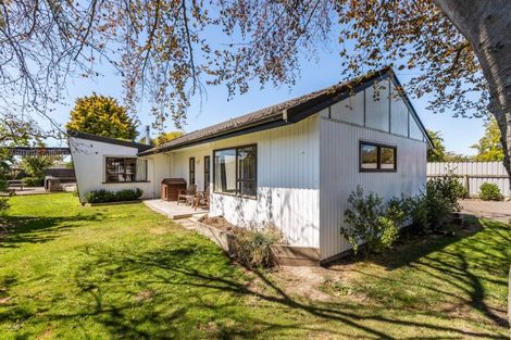 Photo of property in 810 Williams Street, Mahora, Hastings, 4120