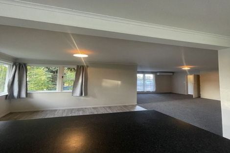 Photo of property in 4 Aronui Terrace, Kelston, Auckland, 0602
