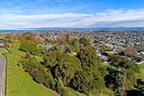 Photo of property in 22 Diana Avenue, Mangapapa, Gisborne, 4010