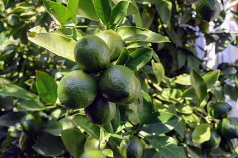 Photo of property in 27 Grassmere Street, Papanui, Christchurch, 8052