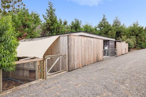 Photo of property in 145a Whakamarama Road, Whakamarama, Tauranga, 3179