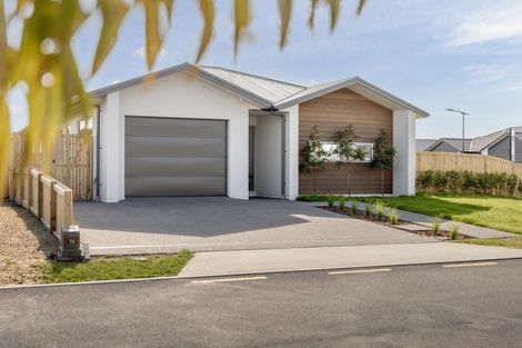 Photo of property in 24 Rangitihi Street, Matamata, 3400