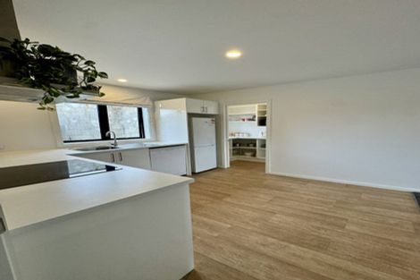 Photo of property in 17b Culling Street, Saint Kilda, Dunedin, 9012