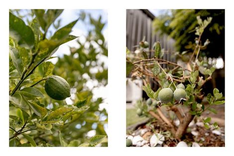 Photo of property in 248 Range Road, Papamoa Beach, Papamoa, 3118