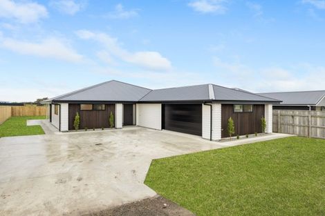Photo of property in 168 Ranfurly Road, Feilding, 4702
