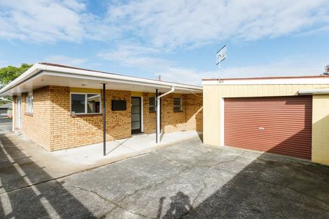 Photo of property in 411a Ruahine Street, Terrace End, Palmerston North, 4410