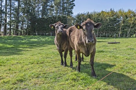 Photo of property in 4/1382 Courtenay Road, Kirwee, Darfield, 7571