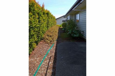 Photo of property in 2 Kuching Lane, Kerikeri, 0230