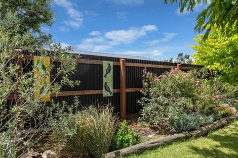 Photo of property in 58 Loach Road, Hawea Flat, Wanaka, 9382