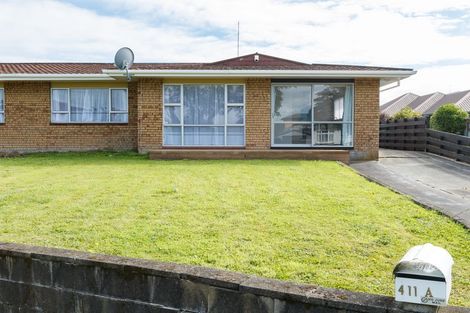 Photo of property in 411a Ruahine Street, Terrace End, Palmerston North, 4410