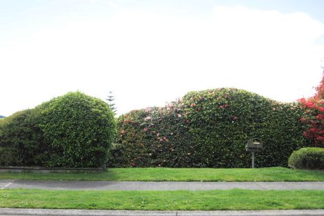 Photo of property in 9 Scenic Heights, Acacia Bay, Taupo, 3330