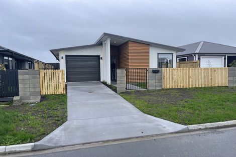 Photo of property in 44 Pasture Way, Papamoa, 3118