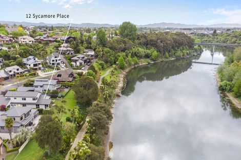 Photo of property in 12 Sycamore Place, Pukete, Hamilton, 3200