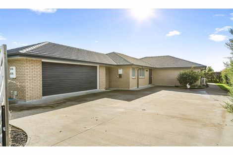 Photo of property in 24 Longview Street, Mangawhai, 0505