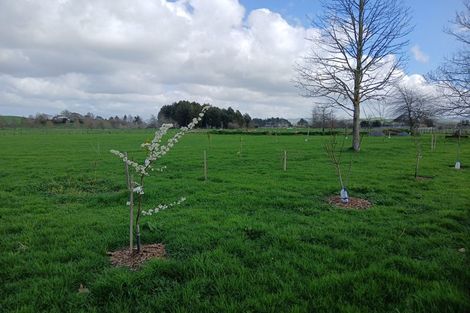 Photo of property in 1007 Horotiu Road, Whatawhata, 3288