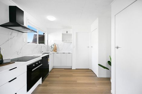 Photo of property in 55b Fifth Avenue, Enderley, Hamilton, 3214