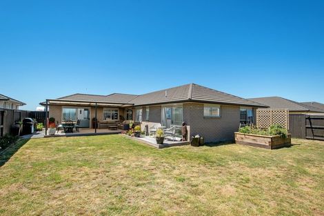 Photo of property in 14 Kamahi Crescent, Papamoa Beach, Papamoa, 3118