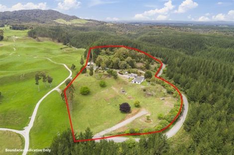 Photo of property in 245 Mangatoi Road, Oropi, Tauranga, 3173