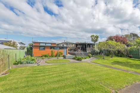 Photo of property in 17 Andrews Street, Foxton Beach, Foxton, 4815