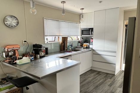 Photo of property in 52 Anglesea Street, Hamilton Central, Hamilton, 3204