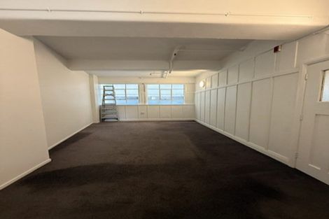 Photo of property in 6b Halleys Lane, Te Aro, Wellington, 6011