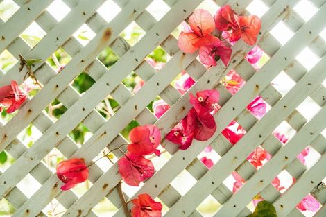 Photo of property in 94 Karewa Parade, Papamoa Beach, Papamoa, 3118