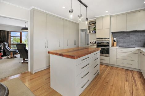 Photo of property in 117 Mcnair Road, Te Awamutu, 3800