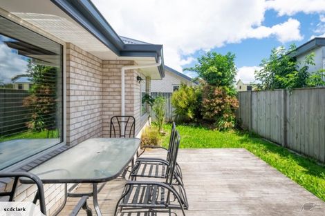 Photo of property in 45 Warwick Street, Mayfield, Blenheim, 7201