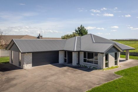 Photo of property in 8 Wakatere Place, Thames, 3500