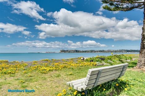 Photo of property in 53a The Esplanade, Westshore, Napier, 4110