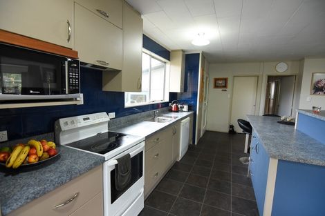 Photo of property in 3 Pattons Road, Mount Somers, Ashburton, 7771