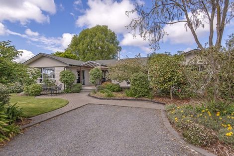 Photo of property in 34 Langes Road, Marshland, Christchurch, 8051