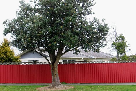 Photo of property in 21 Grenville Street, Levin, 5510