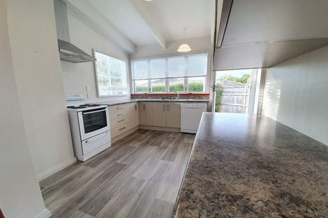 Photo of property in 38 Knowles Street, Terrace End, Palmerston North, 4410