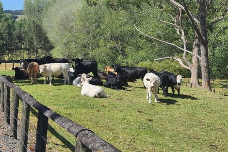 Photo of property in 59c Oturu Road, Kaitaia, 0482