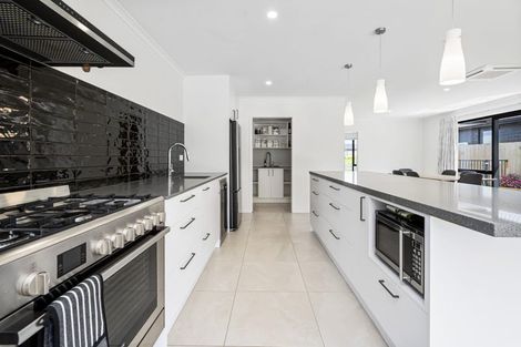 Photo of property in 113 Wairau Drive, Tikipunga, Whangarei, 0112