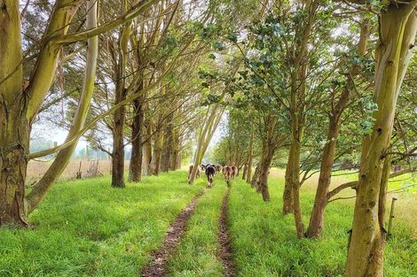 Photo of property in 48 Gardiners Road, Starvation Hill, 7495