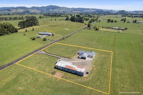 Photo of property in 273 Ford Road, Waihi, 3682