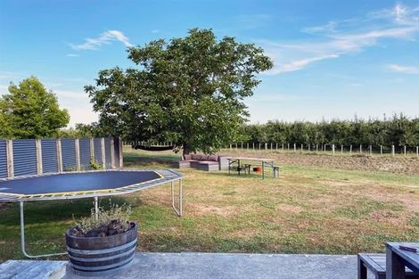 Photo of property in 305 Leo Street, Akina, Hastings, 4122