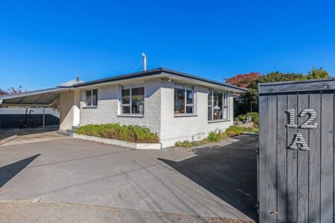 Photo of property in 12a Burden Street, Redwoodtown, Blenheim, 7201