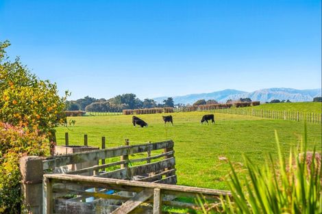 Photo of property in 208 Kukutauaki Road, Koputaroa, Levin, 5575