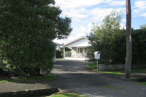 Photo of property in 32 Nelson Street, Feilding, 4702